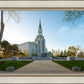 Boston Temple Spring Blossoms