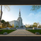 Boston Temple Spring Blossoms