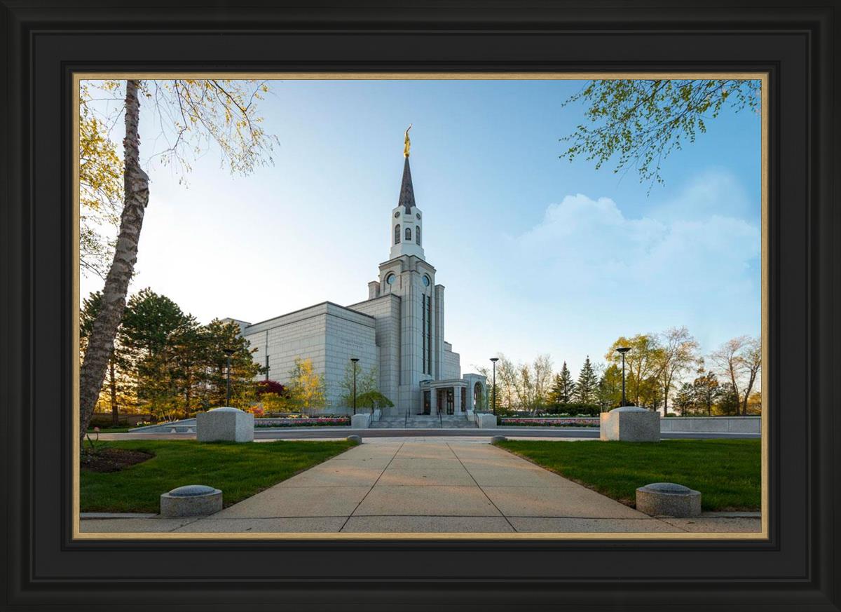 Boston Temple Spring Blossoms
