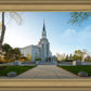 Boston Temple Spring Blossoms