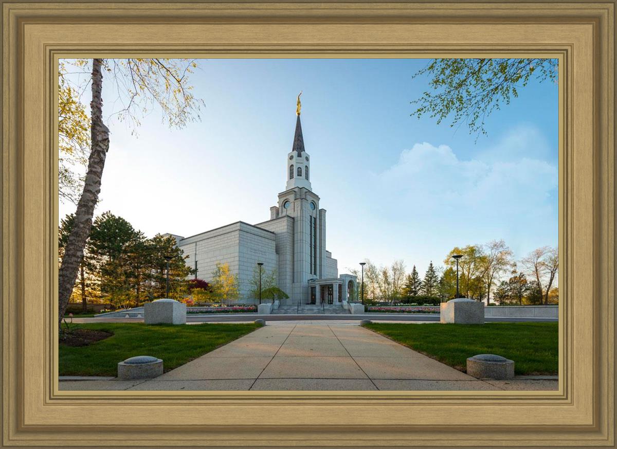 Boston Temple Spring Blossoms