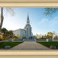 Boston Temple Spring Blossoms