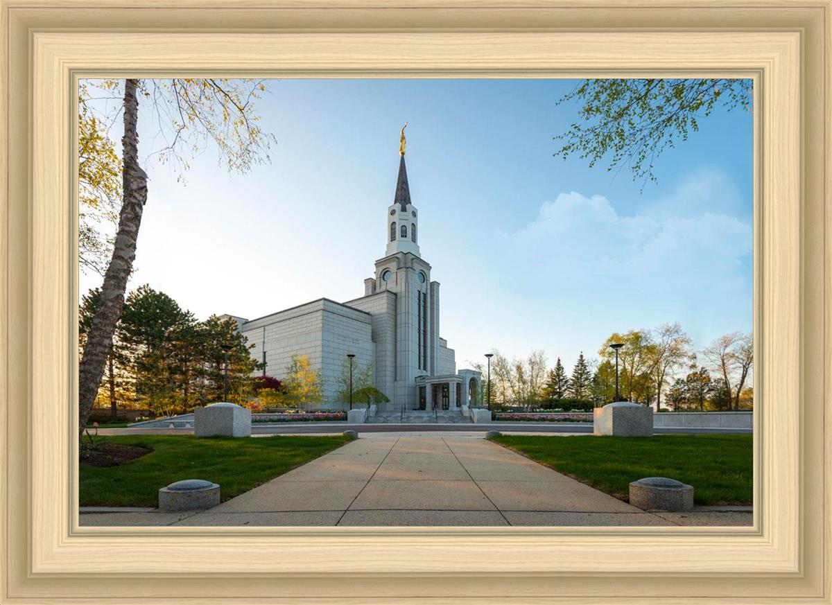 Boston Temple Spring Blossoms