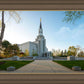 Boston Temple Spring Blossoms