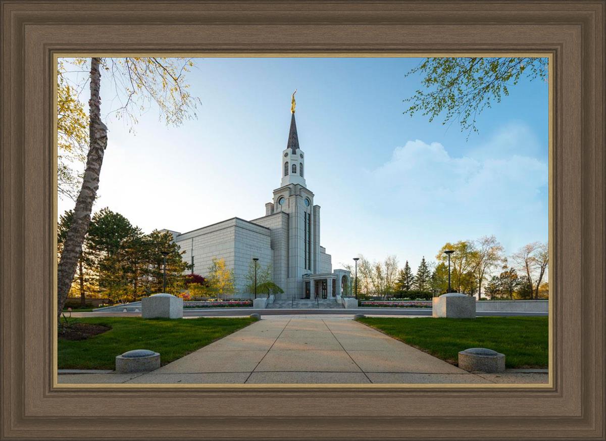 Boston Temple Spring Blossoms