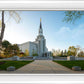Boston Temple Spring Blossoms
