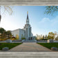 Boston Temple Spring Blossoms