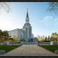 Boston Temple Spring Blossoms