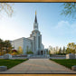 Boston Temple Spring Blossoms
