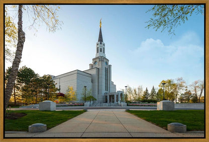 Boston Temple Spring Blossoms