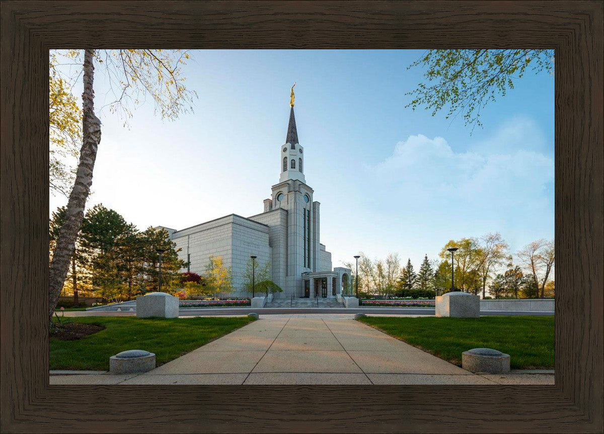 Boston Temple Spring Blossoms