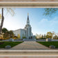 Boston Temple Spring Blossoms
