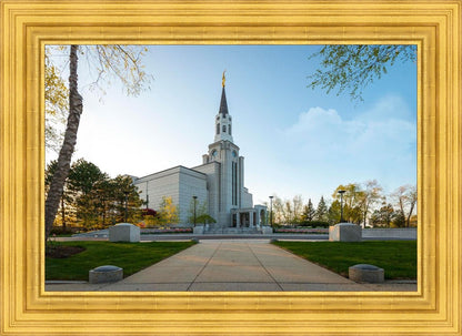 Boston Temple Spring Blossoms