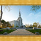 Boston Temple Spring Blossoms