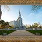 Boston Temple Spring Blossoms