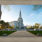 Boston Temple Spring Blossoms