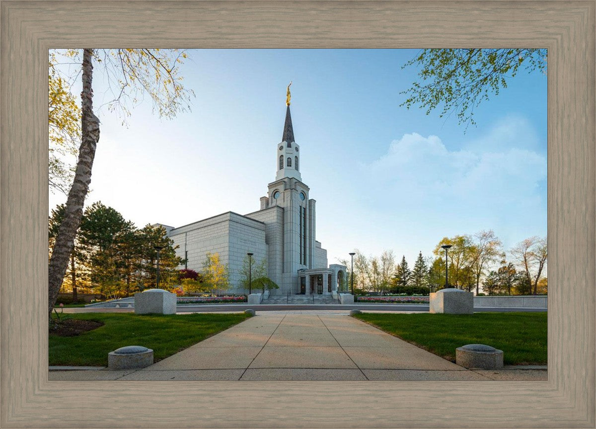 Boston Temple Spring Blossoms