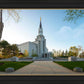 Boston Temple Spring Blossoms