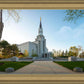 Boston Temple Spring Blossoms