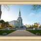 Boston Temple Spring Blossoms