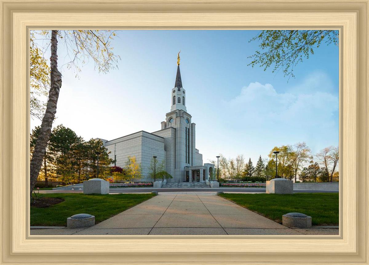 Boston Temple Spring Blossoms