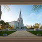 Boston Temple Spring Blossoms