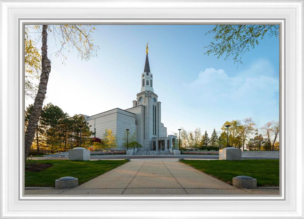 Boston Temple Spring Blossoms