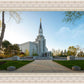 Boston Temple Spring Blossoms