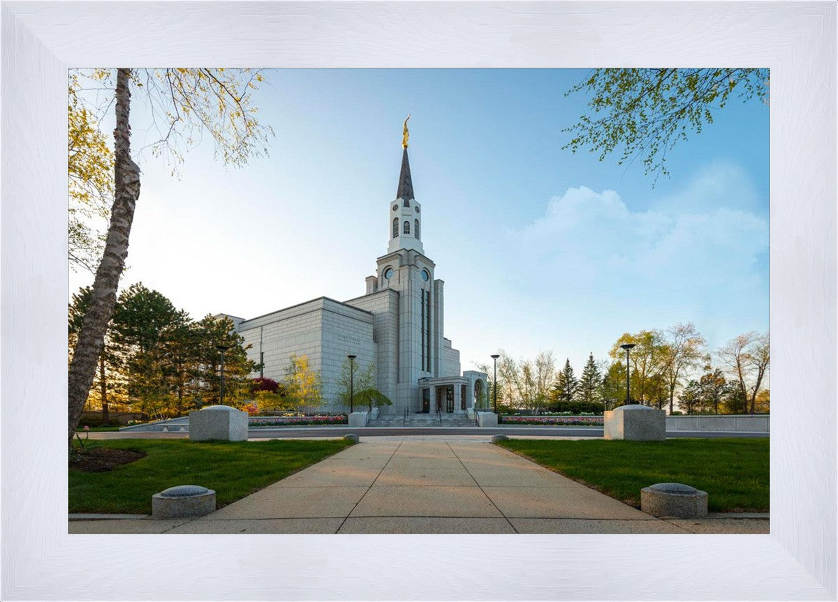 Boston Temple Spring Blossoms