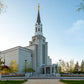 Boston Temple Spring Blossoms