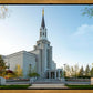 Boston Temple Spring Blossoms