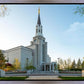 Boston Temple Spring Blossoms