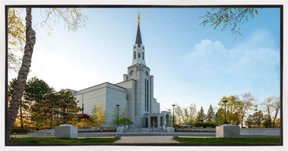 Boston Temple Spring Blossoms
