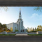 Boston Temple Spring Blossoms