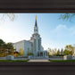 Boston Temple Spring Blossoms