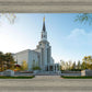 Boston Temple Spring Blossoms