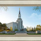 Boston Temple Spring Blossoms