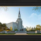 Boston Temple Spring Blossoms