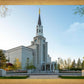 Boston Temple Spring Blossoms