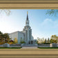 Boston Temple Spring Blossoms