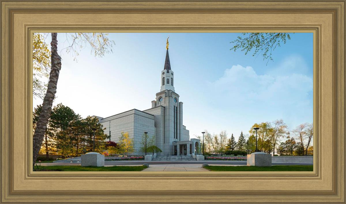 Boston Temple Spring Blossoms