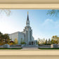 Boston Temple Spring Blossoms