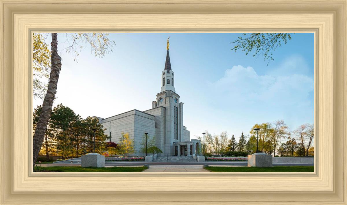 Boston Temple Spring Blossoms