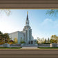 Boston Temple Spring Blossoms