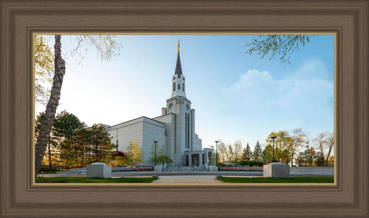 Boston Temple Spring Blossoms