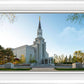 Boston Temple Spring Blossoms