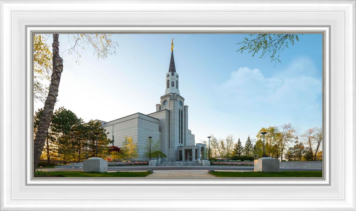 Boston Temple Spring Blossoms
