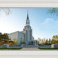 Boston Temple Spring Blossoms