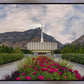 Provo Temple First Light