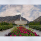 Provo Temple First Light